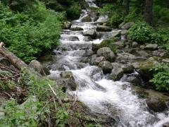 2005-07-02_07.JPG
