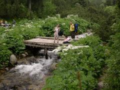 2005-07-02_13.JPG