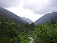 2005-07-02_19.JPG