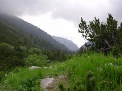 2005-07-02_20.JPG