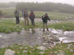 2005-07-03_05.JPG
