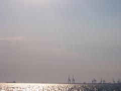 100_1251.JPG