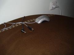 1112_j2_my_mouse.JPG