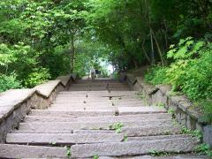 100_0446.JPG