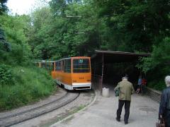 IMGP1169.JPG