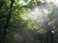 IMGP1172.JPG