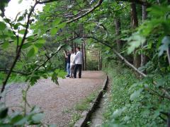 IMGP1182.JPG