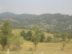 IMGP1227.JPG