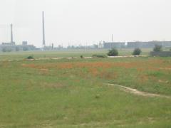 IMGP1232.JPG