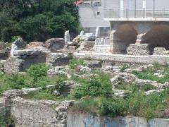IMGP1241.JPG