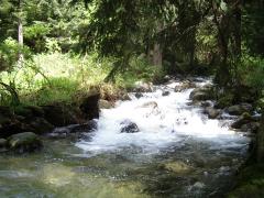 IMGP1338.JPG