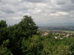 IMGP1390.JPG