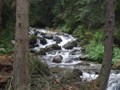IMGP1512.JPG