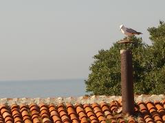 IMGP1901_Old_Nessebar_vue_appart.JPG