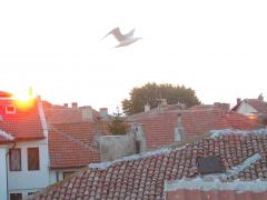 IMGP1946_Vue_Appart.JPG